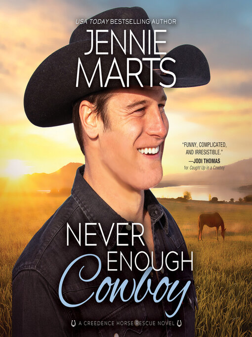 Cover image for Never Enough Cowboy